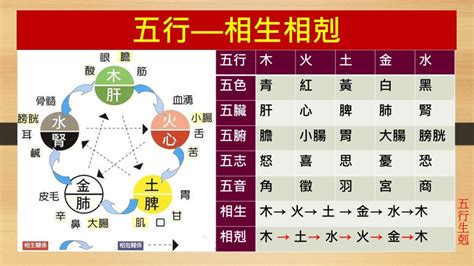 五行生剋制化|老子七律之五行生剋制化律淺析及應用簡析